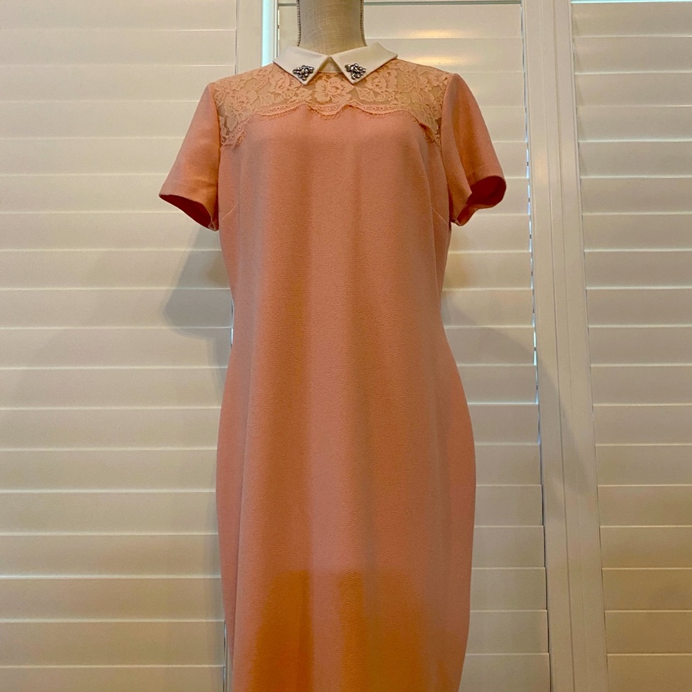 Brand new with tag size. 12 Karl Lagerfeld dress